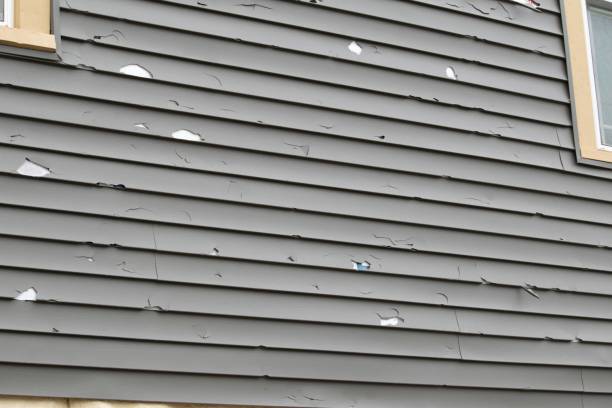  Bluefield, VA Siding Installation Pros